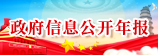 政府信息公開年報